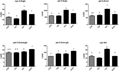 Trichoderma Applications on Strawberry Plants Modulate the Physiological Processes Positively Affecting Fruit Production and Quality